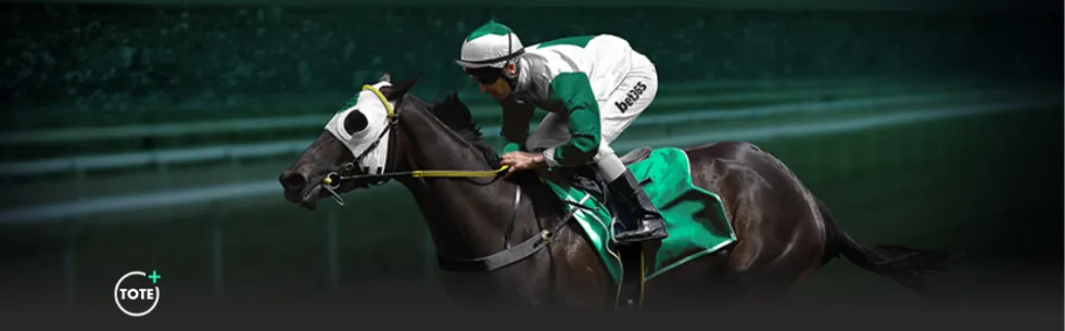 全红婵遭受,羞辱,朱小龙事件,ebpay官网下载app,ebpay下载,ebpay官网