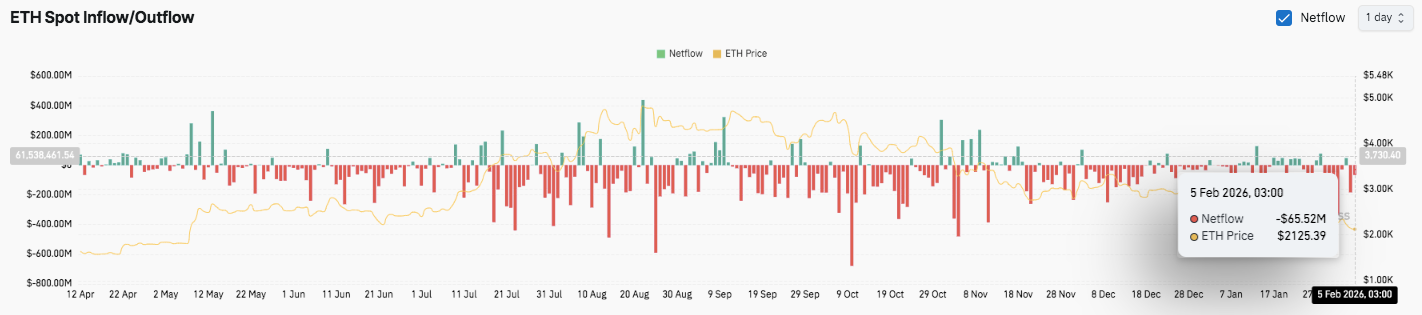 终极赢家,团队亮相,林更新角色,ebpay官网下载app,ebpay下载,ebpay官网