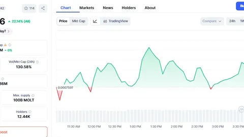 币市观察：花旗解析ETF资金流入减速对比特币影响，加密市场“寒潮”不必恐慌，行情解读来袭！